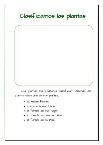 Clasificamos las plantas
