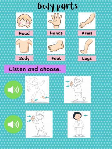 Body Parts