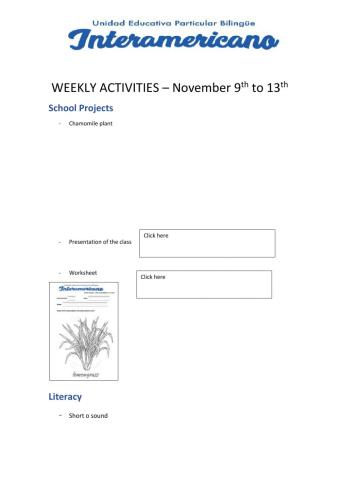 Weekly activities - Preparatory - WEEK 24