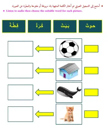 التاء المربوطة والتاء المفتوحة - ٢
