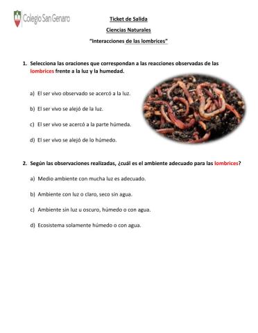 Observaciones de las lombrices 4 año