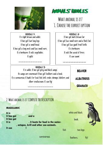 Animals' riddles
