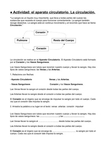 Aparato Circulatorio