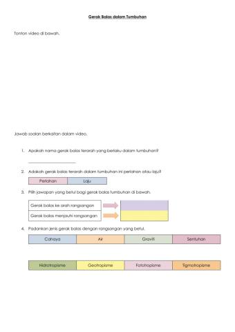 Gerak Balas dalam Tumbuhan