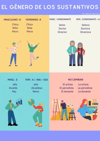 El género de los sustantivos