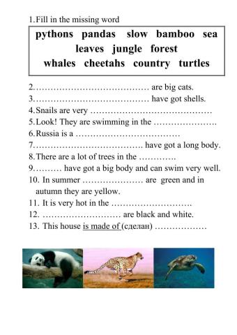 Welcome 2 Unit 8 Lesson 2