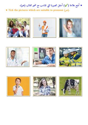 ضمائر الغائب - (هو - هي) - ١