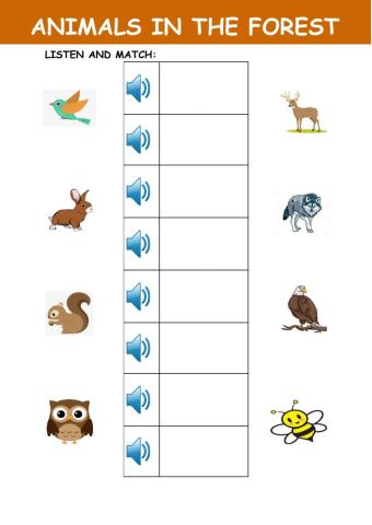 Animals in the forest