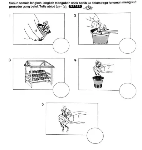 Langkah-langkah Mengubah Anak Benih