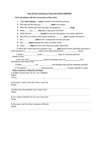 Past and past continuous tense