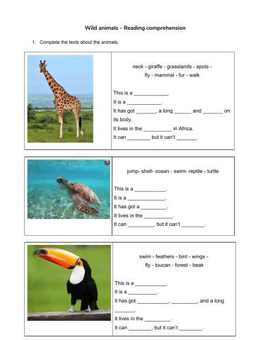 Wild animals - Reading