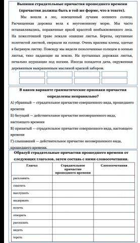 Страдательные причастия прошедшего времени