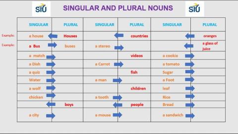 Plural nouns and singular nouns quiz