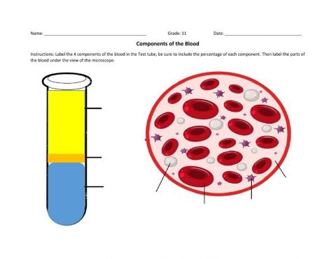 Components of Blood