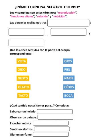 Funciones del cuerpo humano