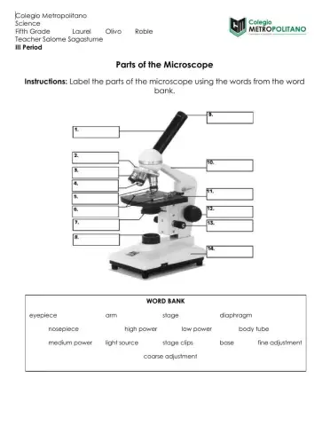 Parts of the Microscope