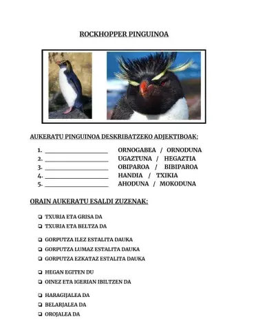 Antartidako animaliak- r. pinguinoa