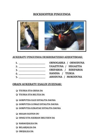 Antartidako animaliak- r. pinguinoa