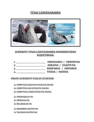 Antartidako animaliak- Itsas Lehoinabarra