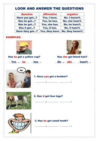 Look and answer the questions