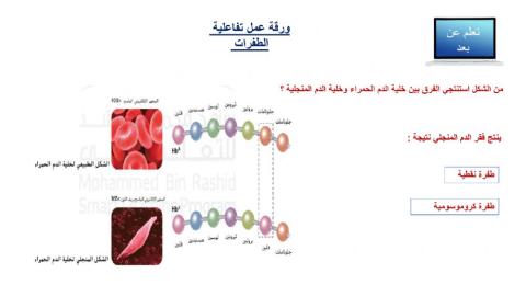 ورقة عمل الطفرات