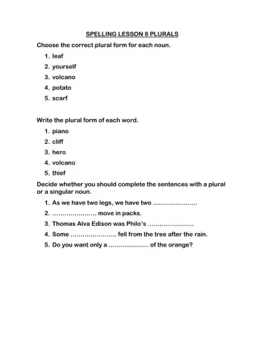 Lesson 8 Plurals