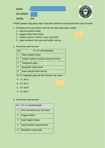 Perkembangan pada pubertas