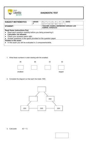 Diagnostic test 2° grade