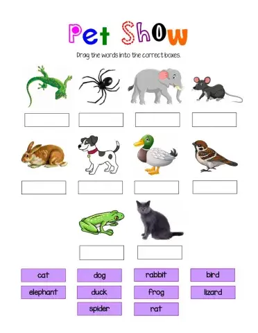 Pet Show