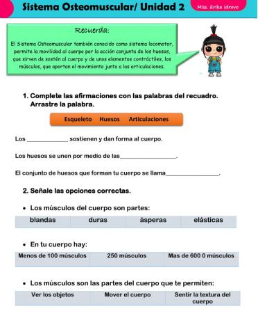 El sistema Osteomuscular