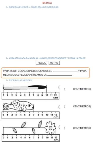El metro y el centimetro