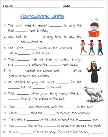 Homophone Exercise 4