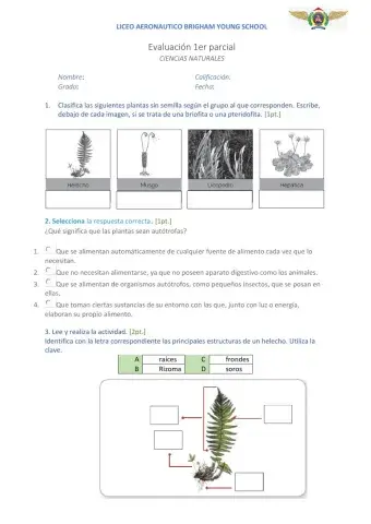Evaluación parcial 1