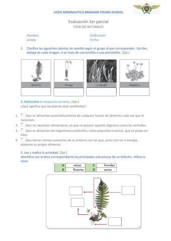 Evaluación parcial 1