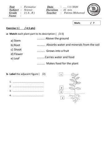Science grade 3 - parts of plants quiz