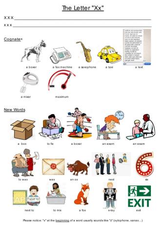 Goals 1, The Letter Xx Dina Shterengas