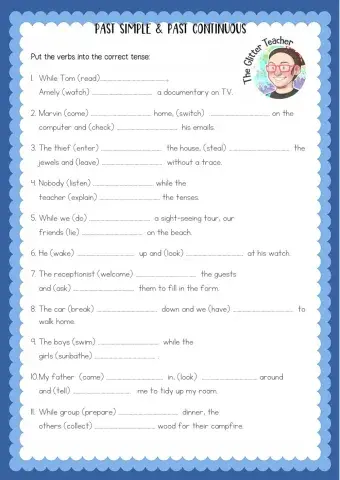 Past simple or Past Continuous?