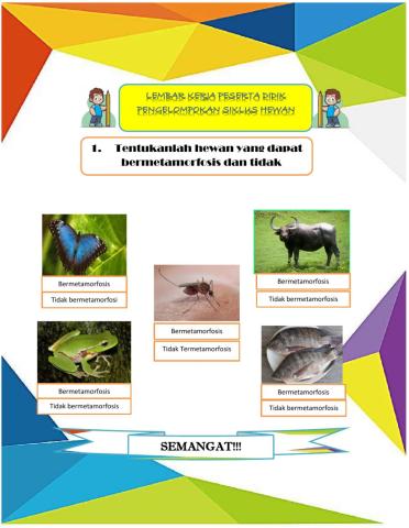 Latihan pengelompokan hewan