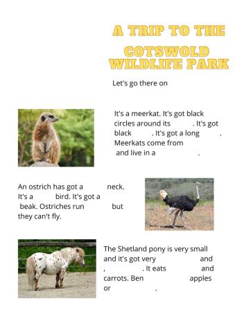 Tiger 3 Unit 2 YT Film