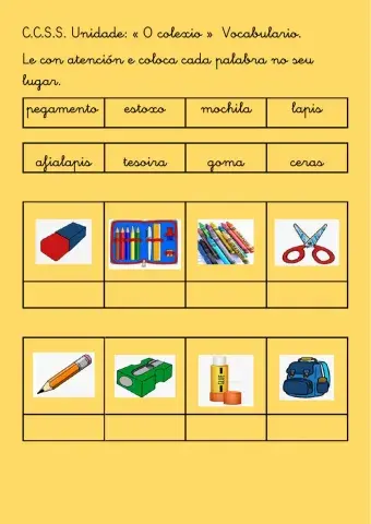 Vocabulario: O colexio