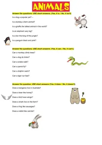 Animals - short answers with Is - Can - Does