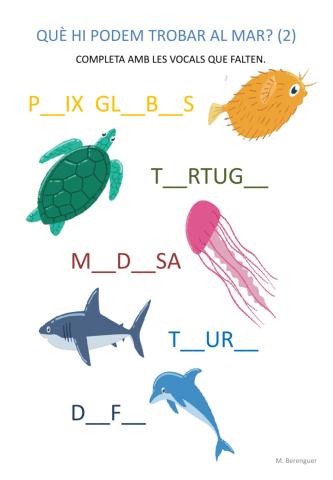 Què hi podem trobar al mar? (2)