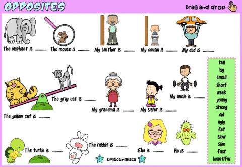 Opposites (Drag drop)