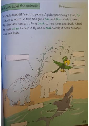 Listen and read (the animals)