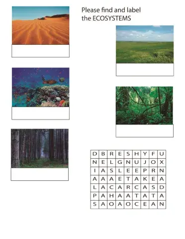 Ecosystems, Goods and Services, Life Processes, Cell Organization