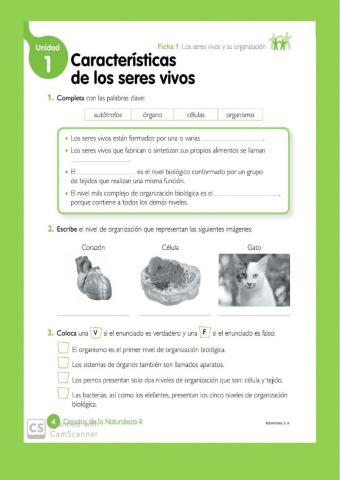 Características de los seres vivos