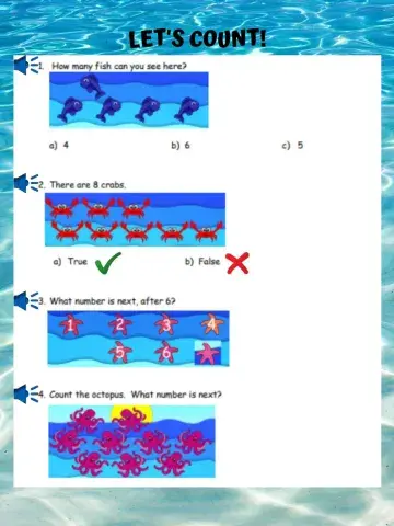 Sea animals counting