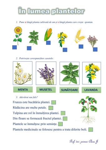 În lumea plantelor