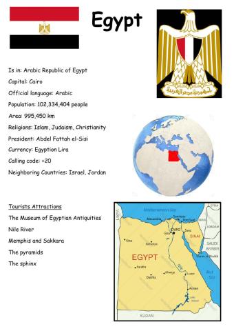 Egypt, Dina Shterengas