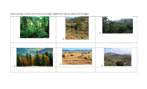 Regiones de climas y vegetación